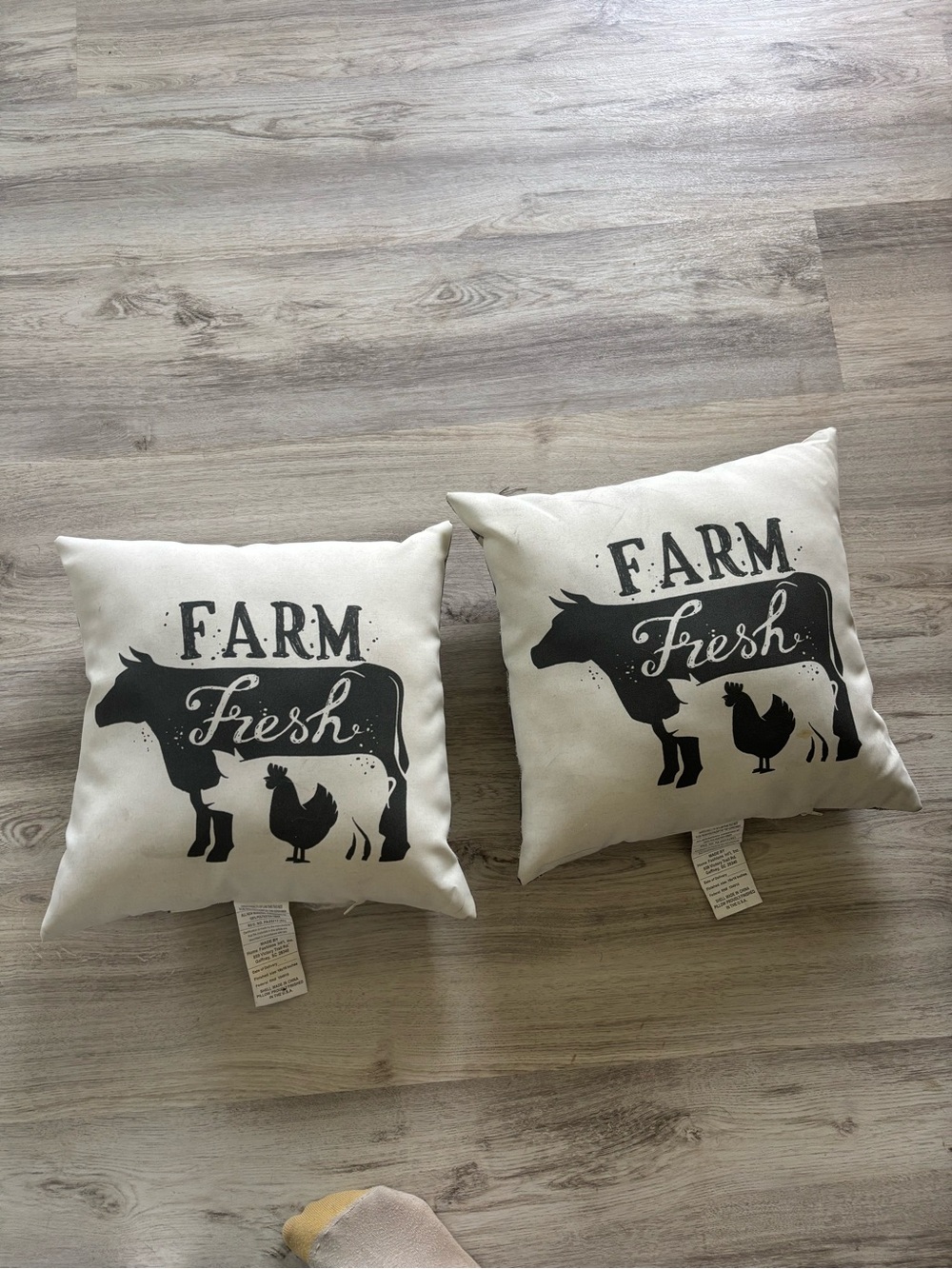 Farm Fresh Black & Cream Throw Pillow Pair
